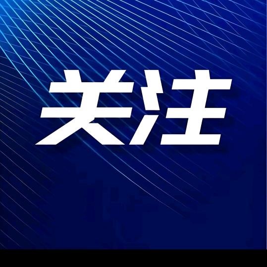 琪琪收藏