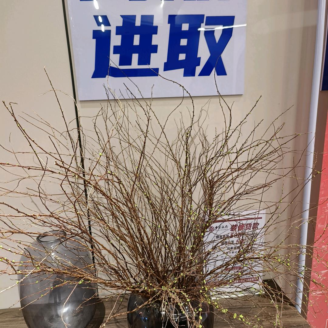 灵璧灵固房地产咨询管理顾问有限公司