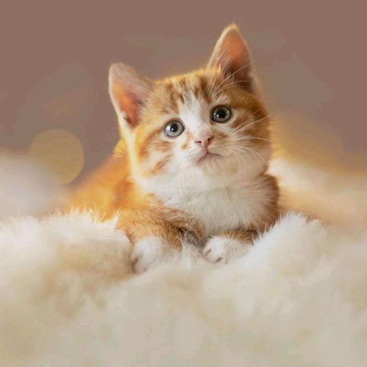 AA建材批发小王