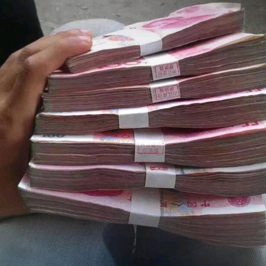杨杨，