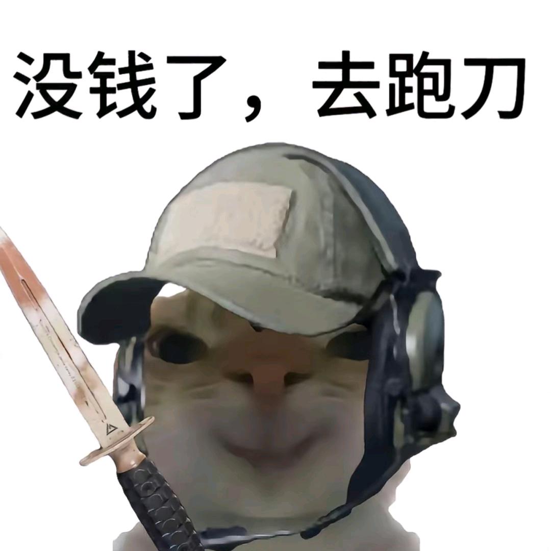 小狸(三角洲跑刀)