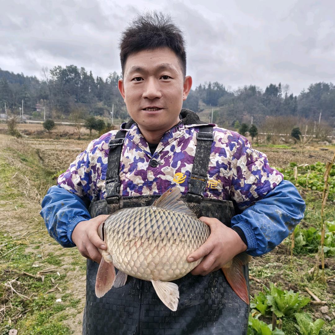@土家阿丁