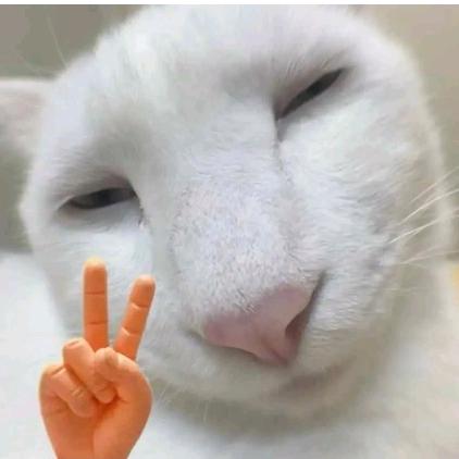 你大爷有点拽