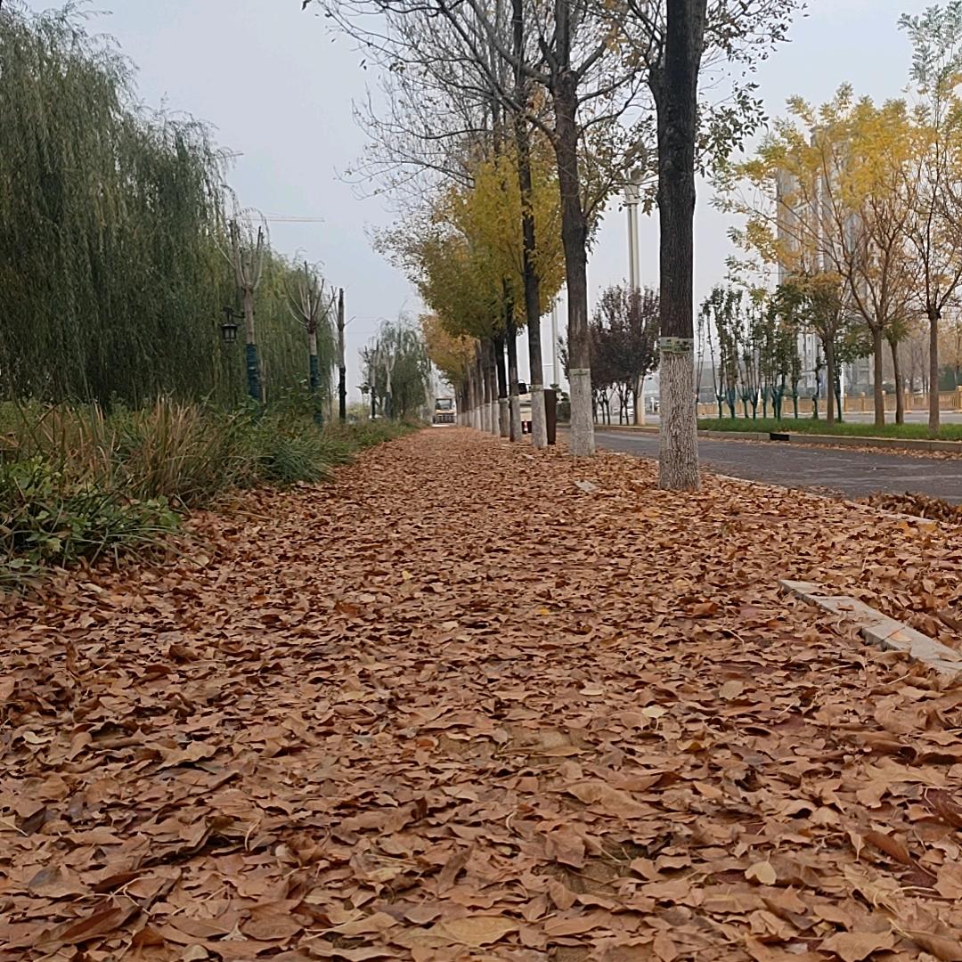 知足常乐，王哥