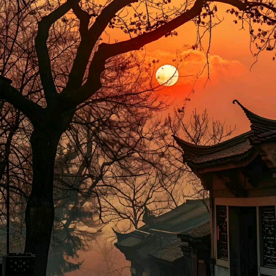 像风不需要归宿