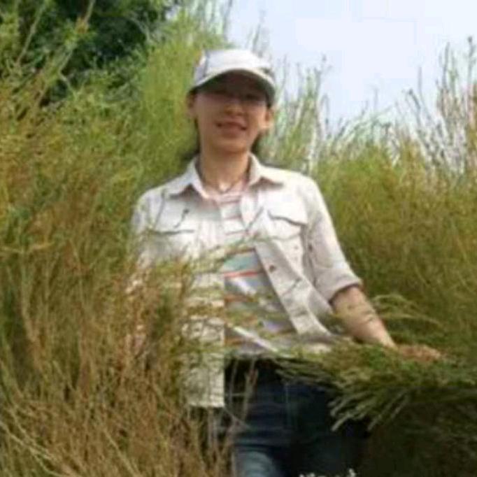 老陈带你吃喝玩乐