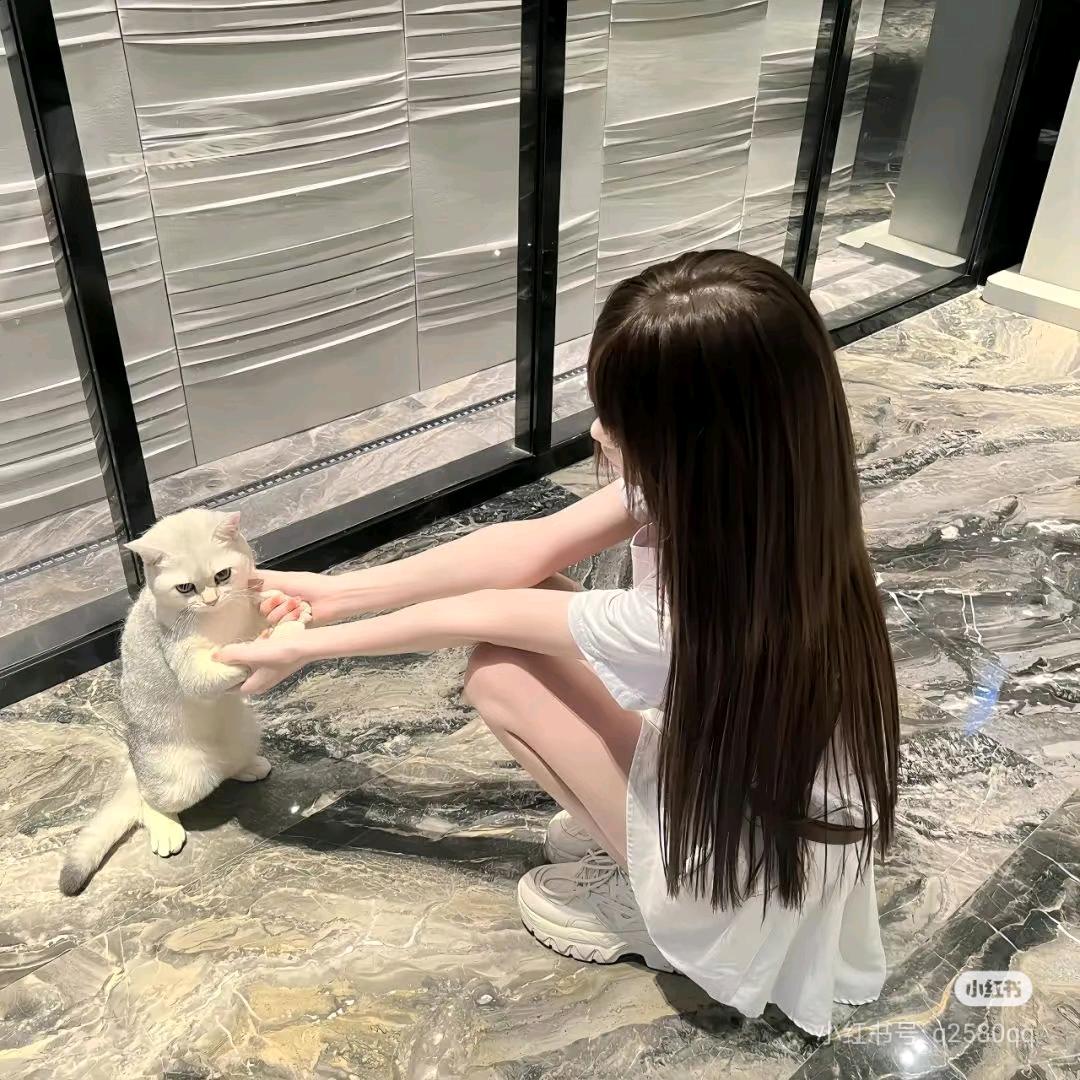 爱吃鱼的猫