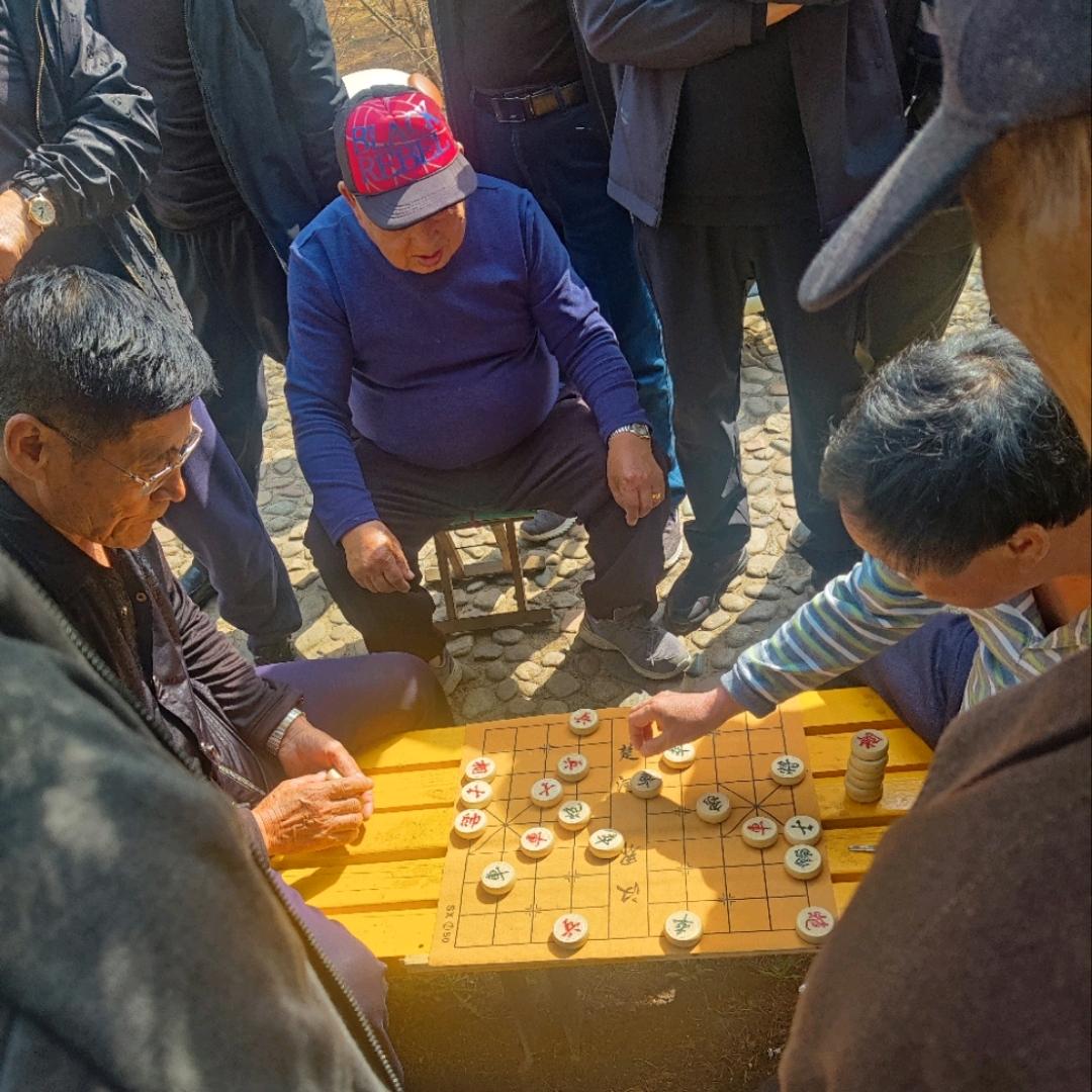 子涵侃棋