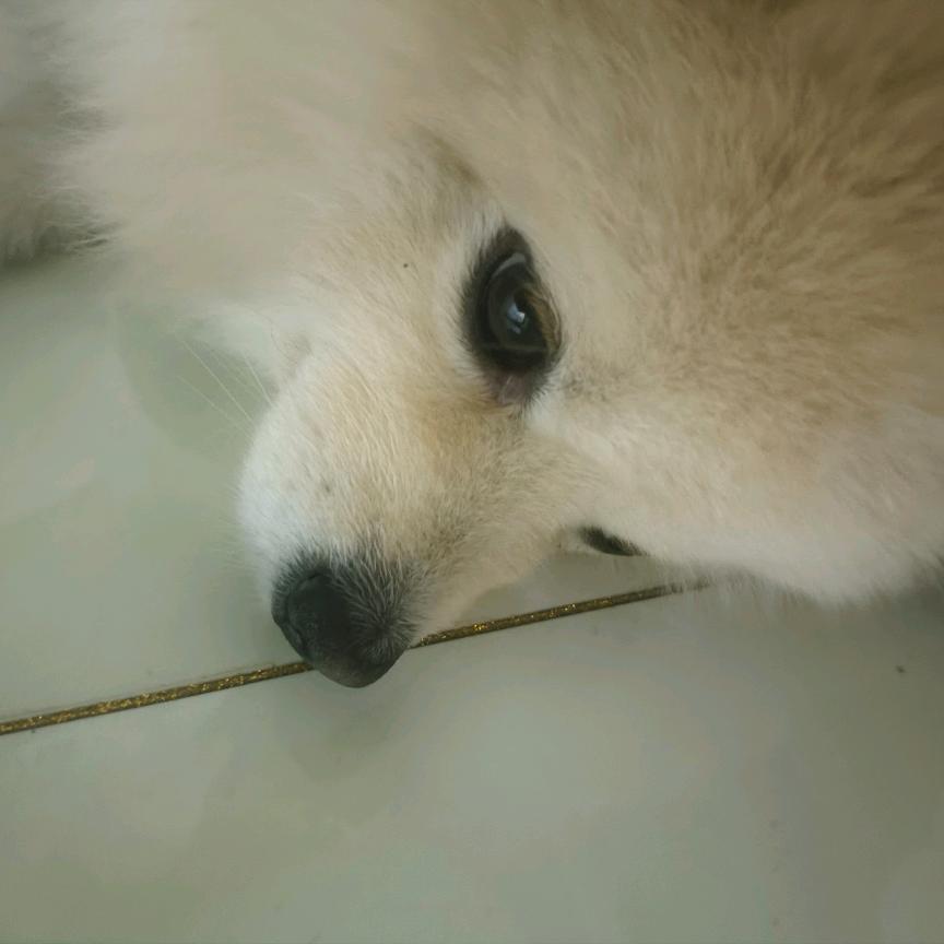 马克