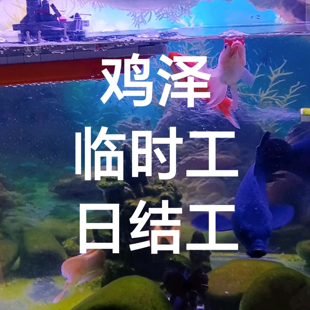 鸡泽临时工派送～赵小玲
