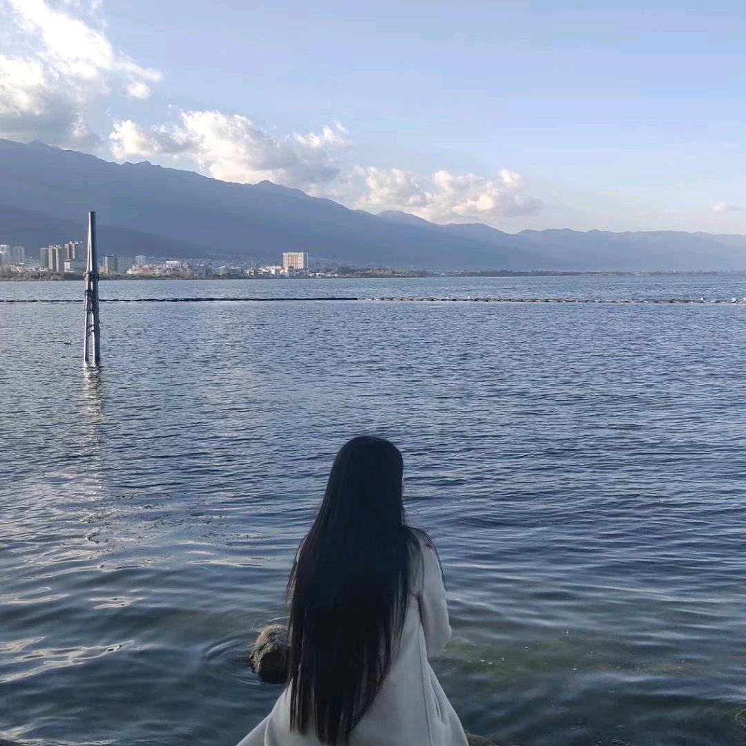 被遗忘的野百合