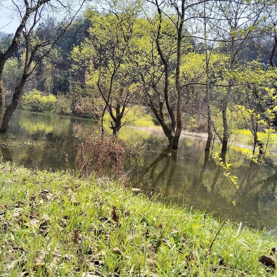 ✨范范💫