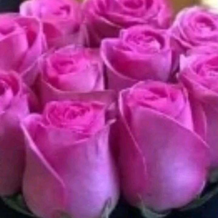 想你一次落一粒沙🍒🍒