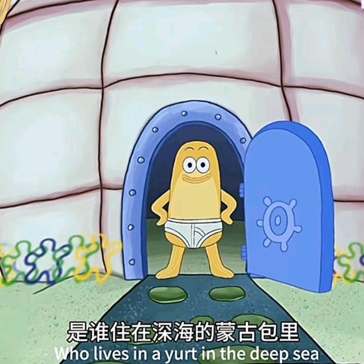 超雄小猫凌晨三点狂啃上铺咪咪