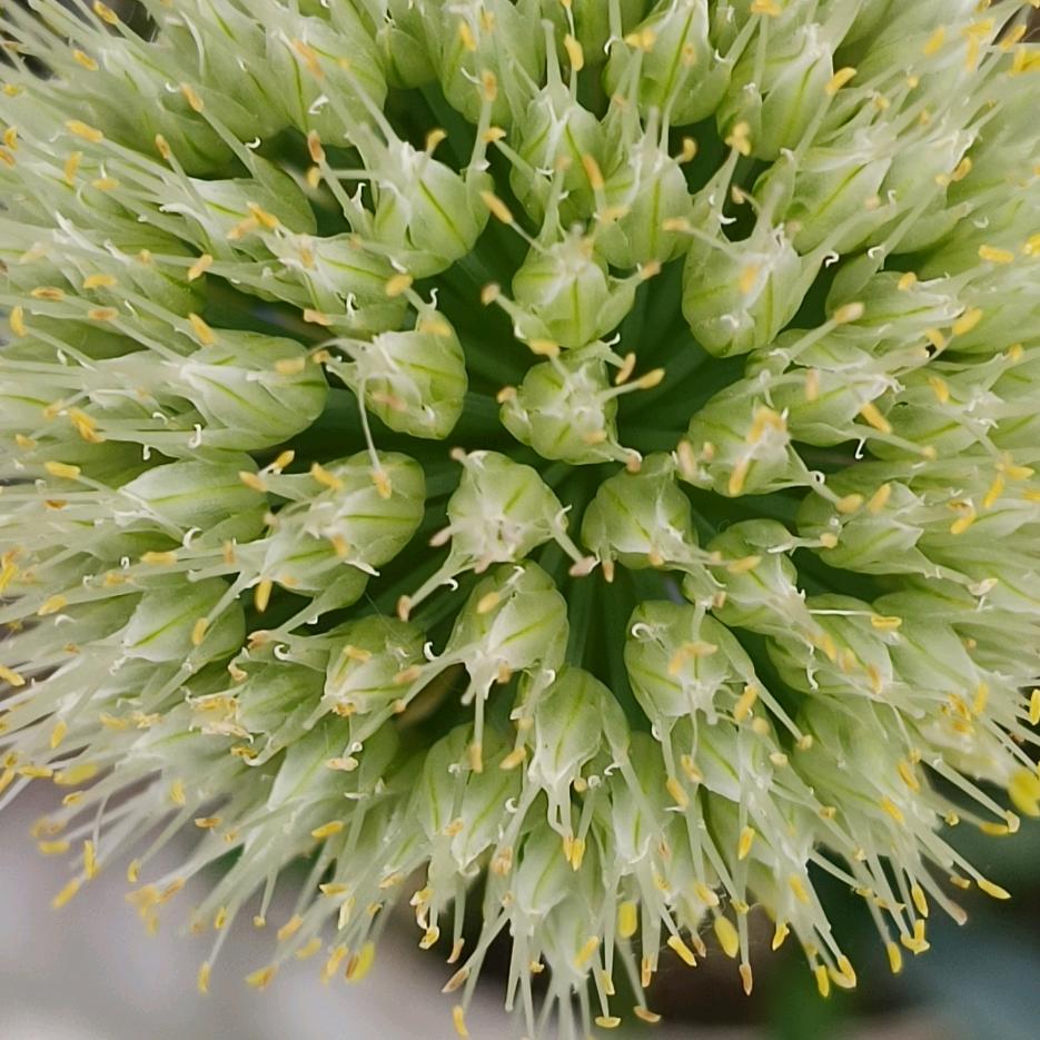 玄学的尽头是天堂