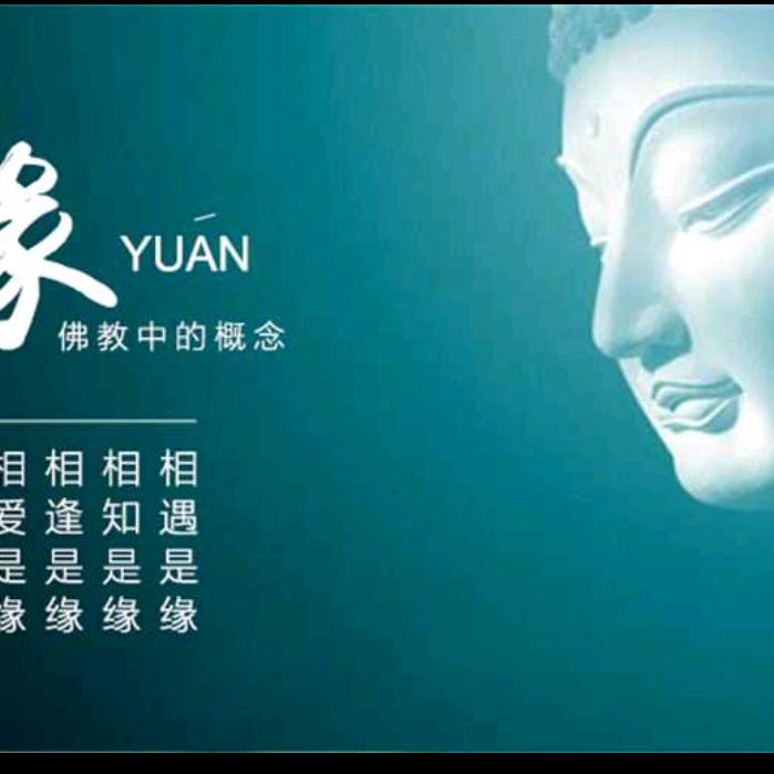 切配大姐（不定时）
