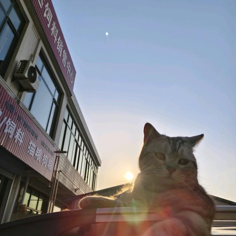 美事达饲料销售中心