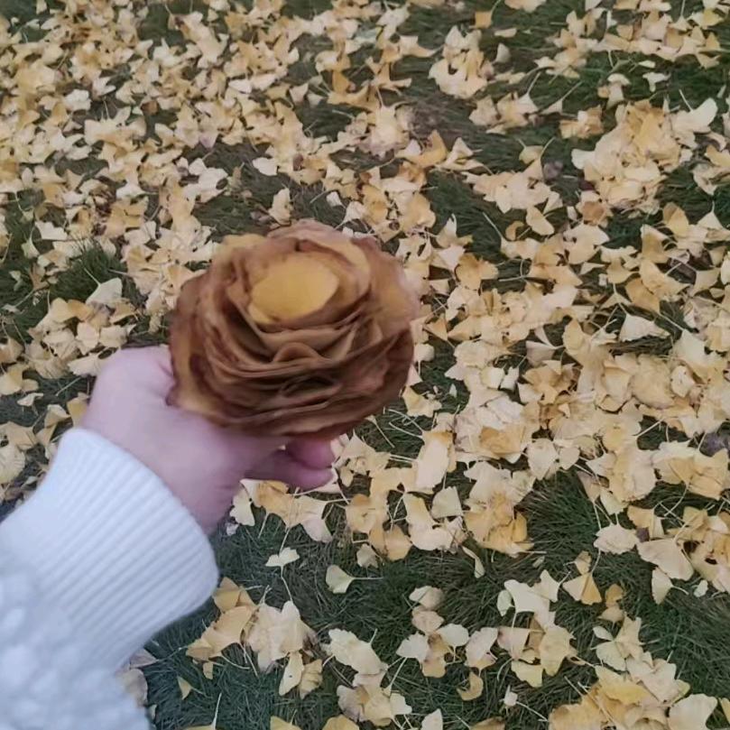司辰