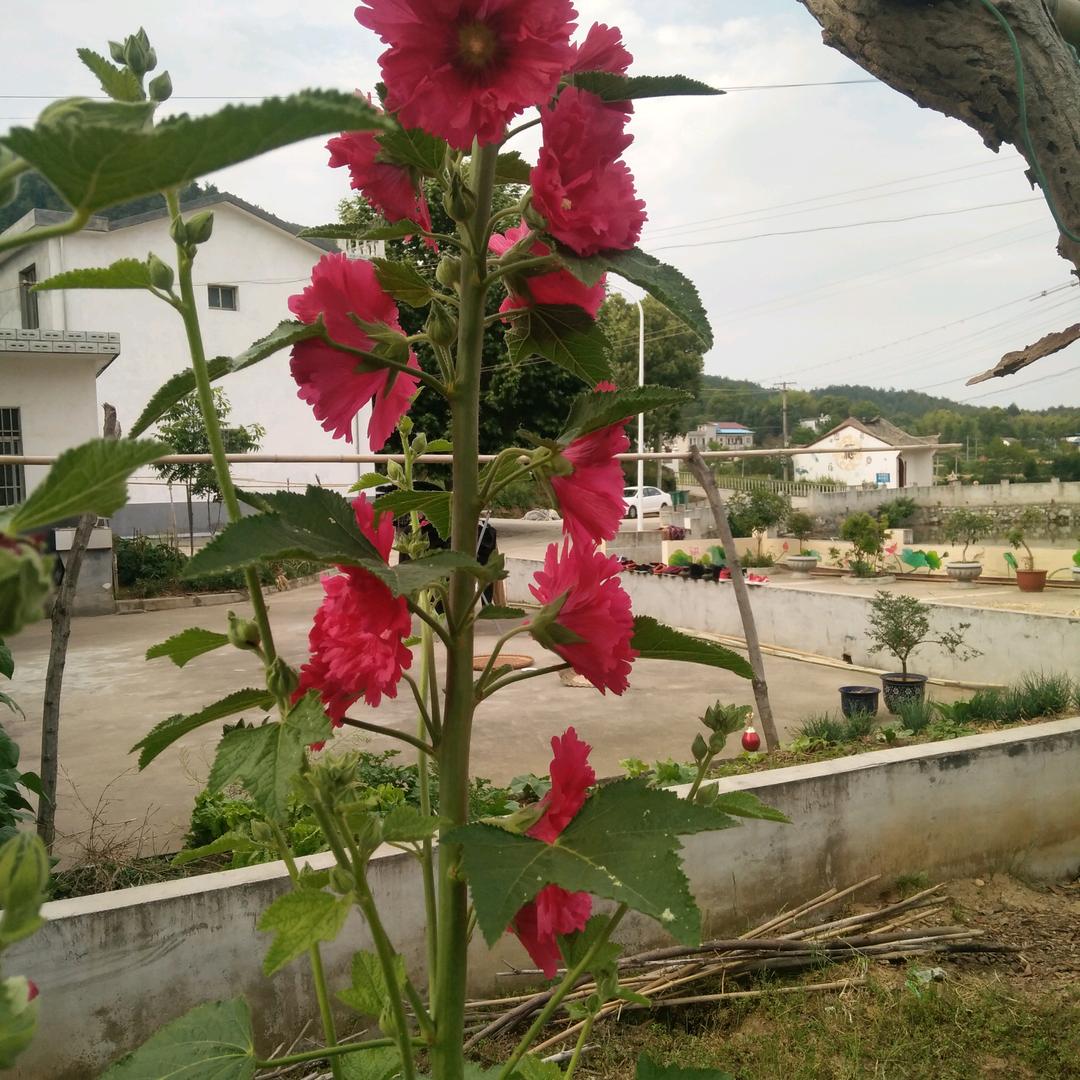 幸福一家人