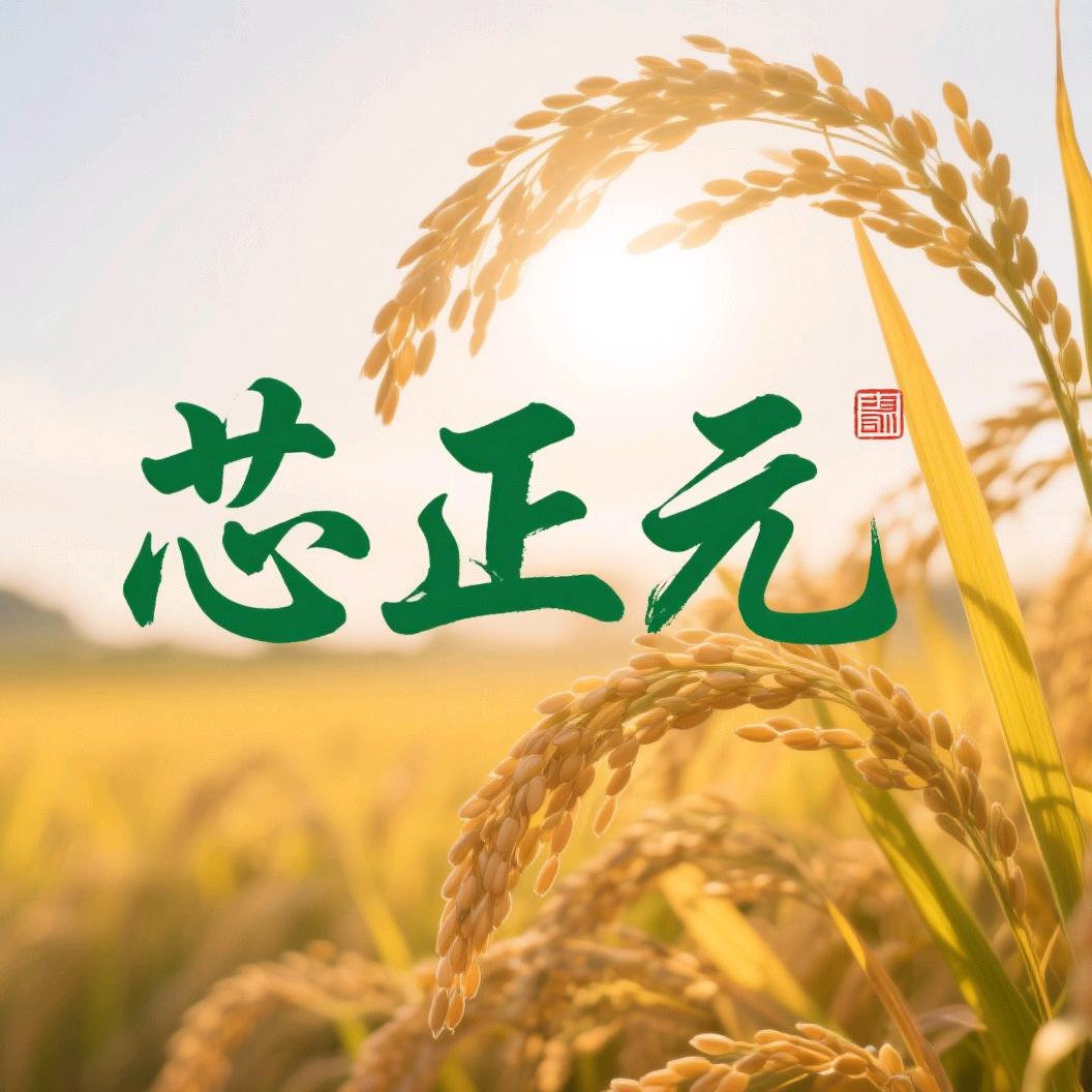 芯正元农产品工厂店