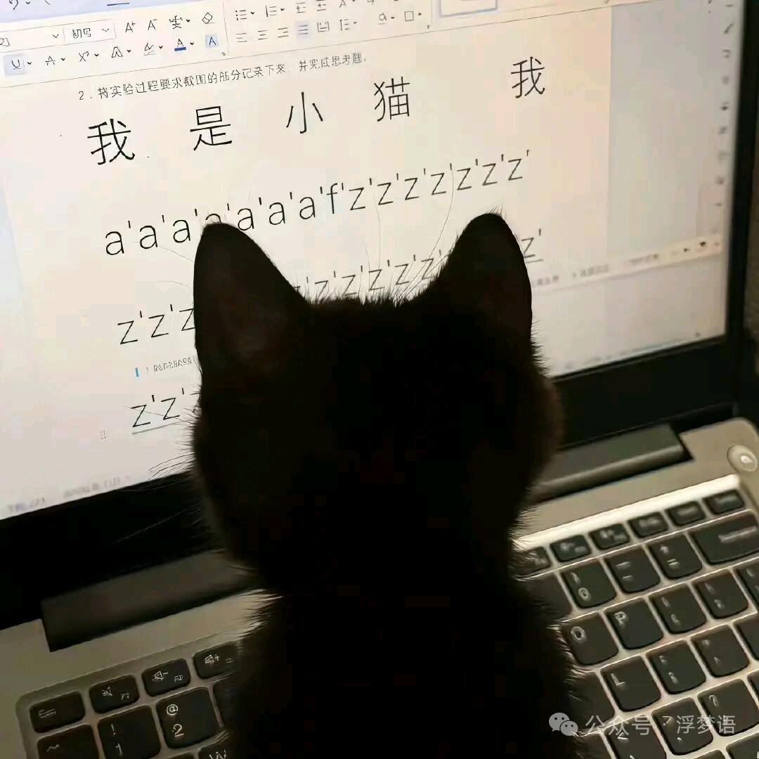 AAA.螺丝厂利总