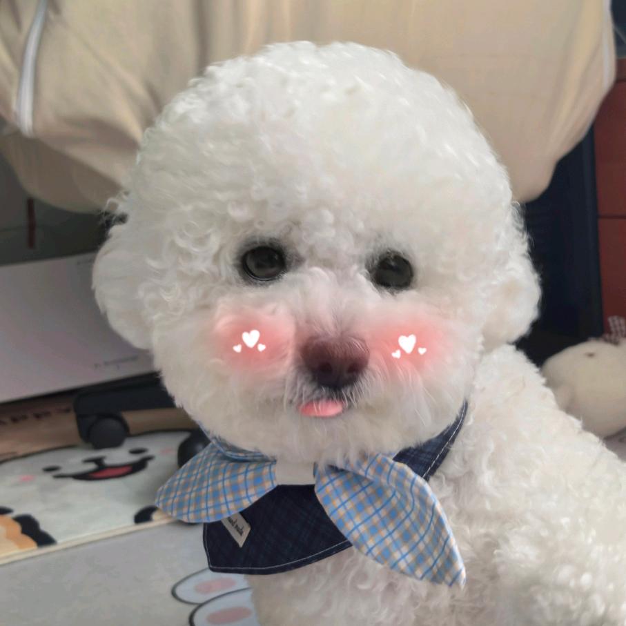 汤圆有点冷