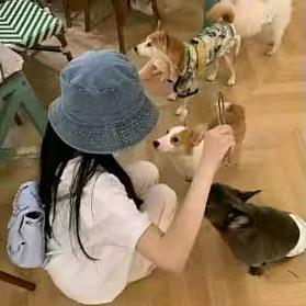 秋心儿