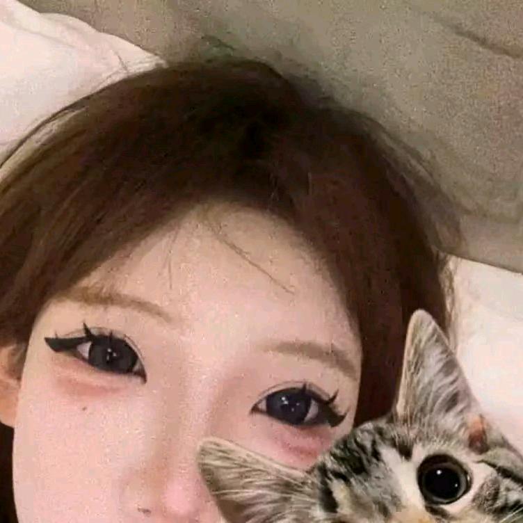 ㅤㅤㅤㅤㅤ头像