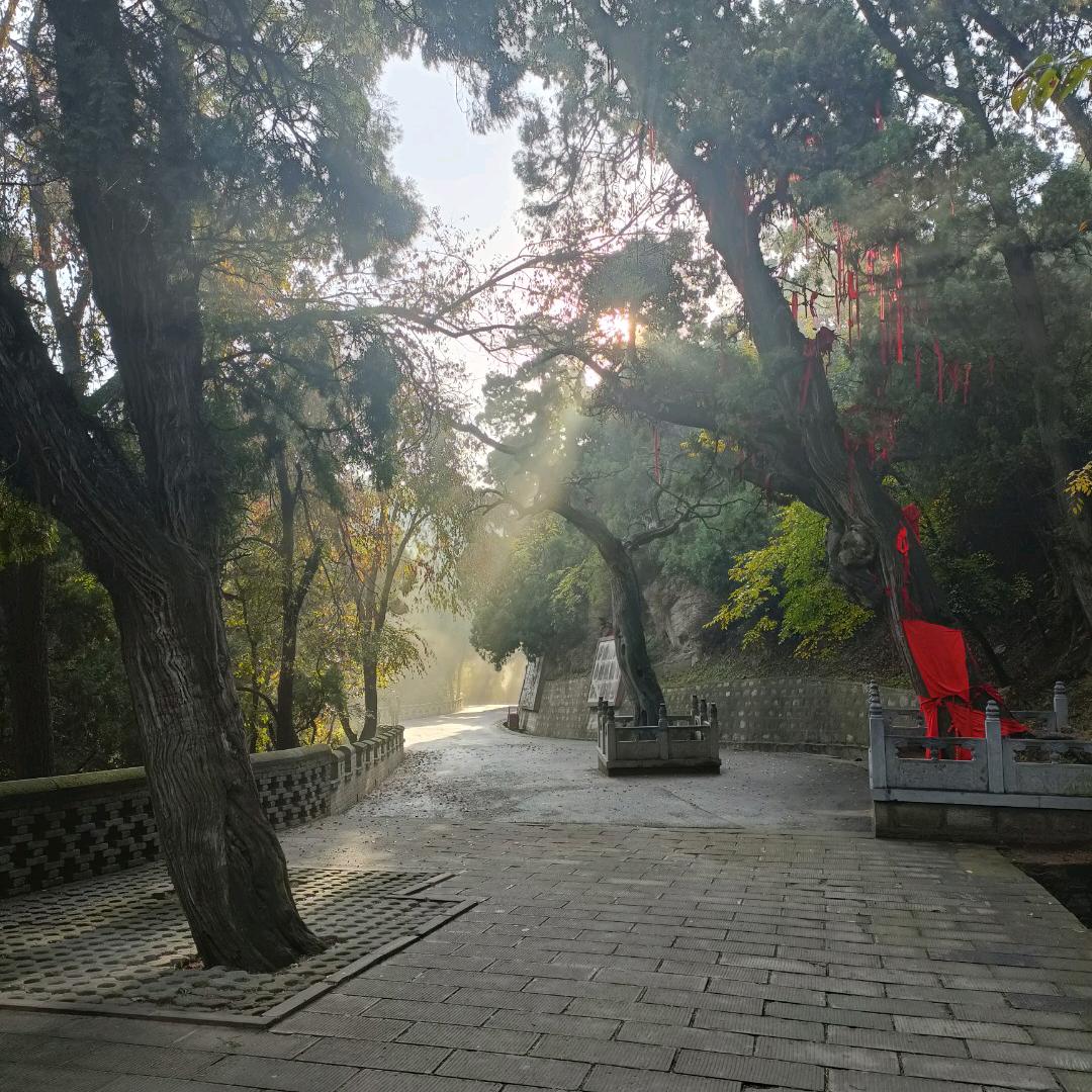 ✨瑞瑞面馆✨