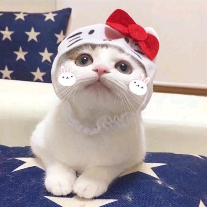 小周ai看剧