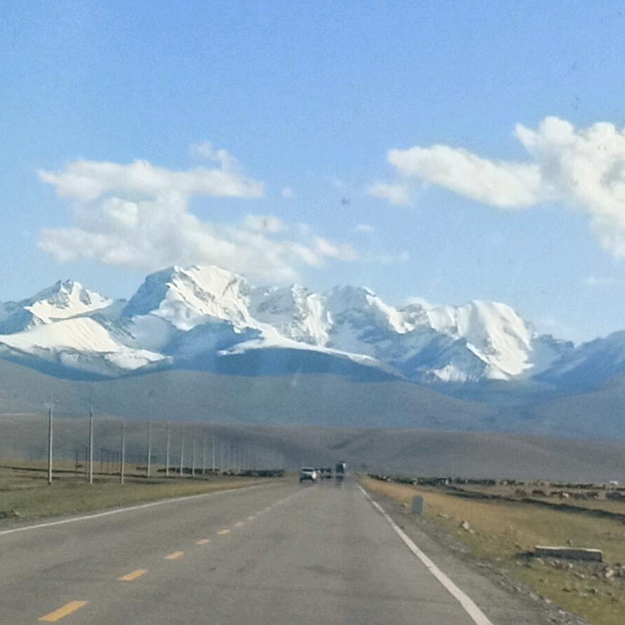 清风徐来🌾🌾
