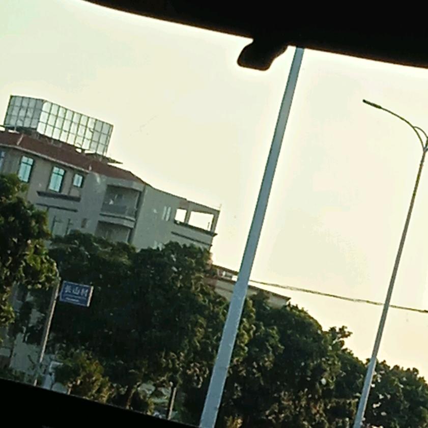 兰知语