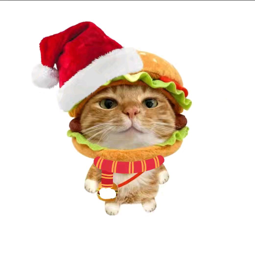 恶毒老太在天台偷吃拼好饭被肘击👑