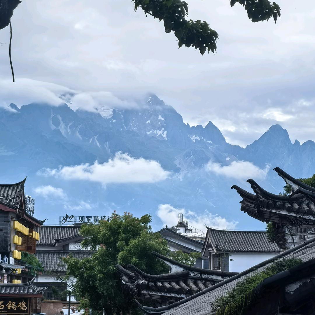 玛鹿
