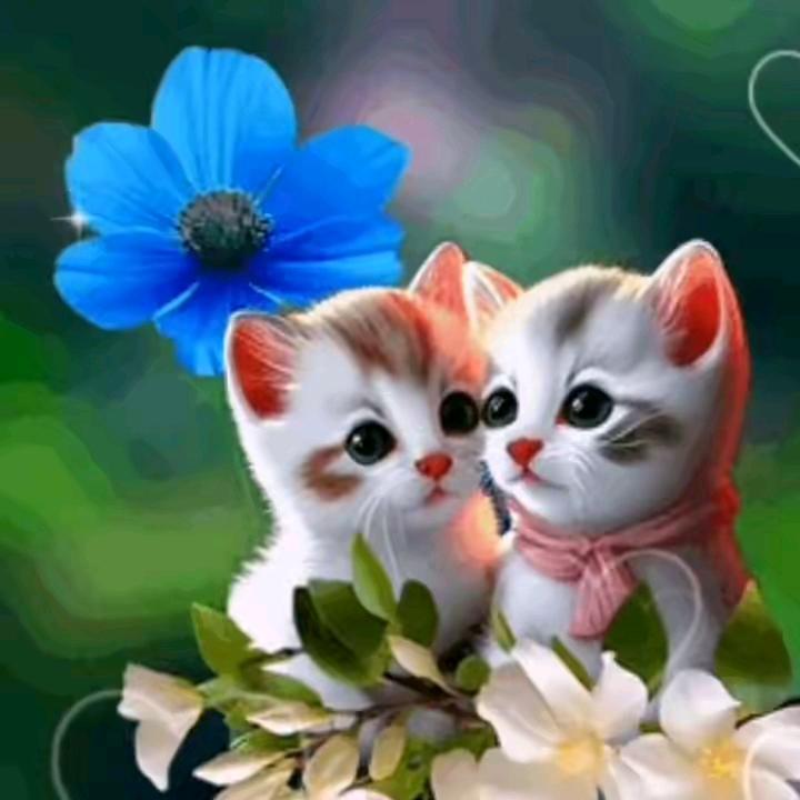 ❤️一切随缘❤️