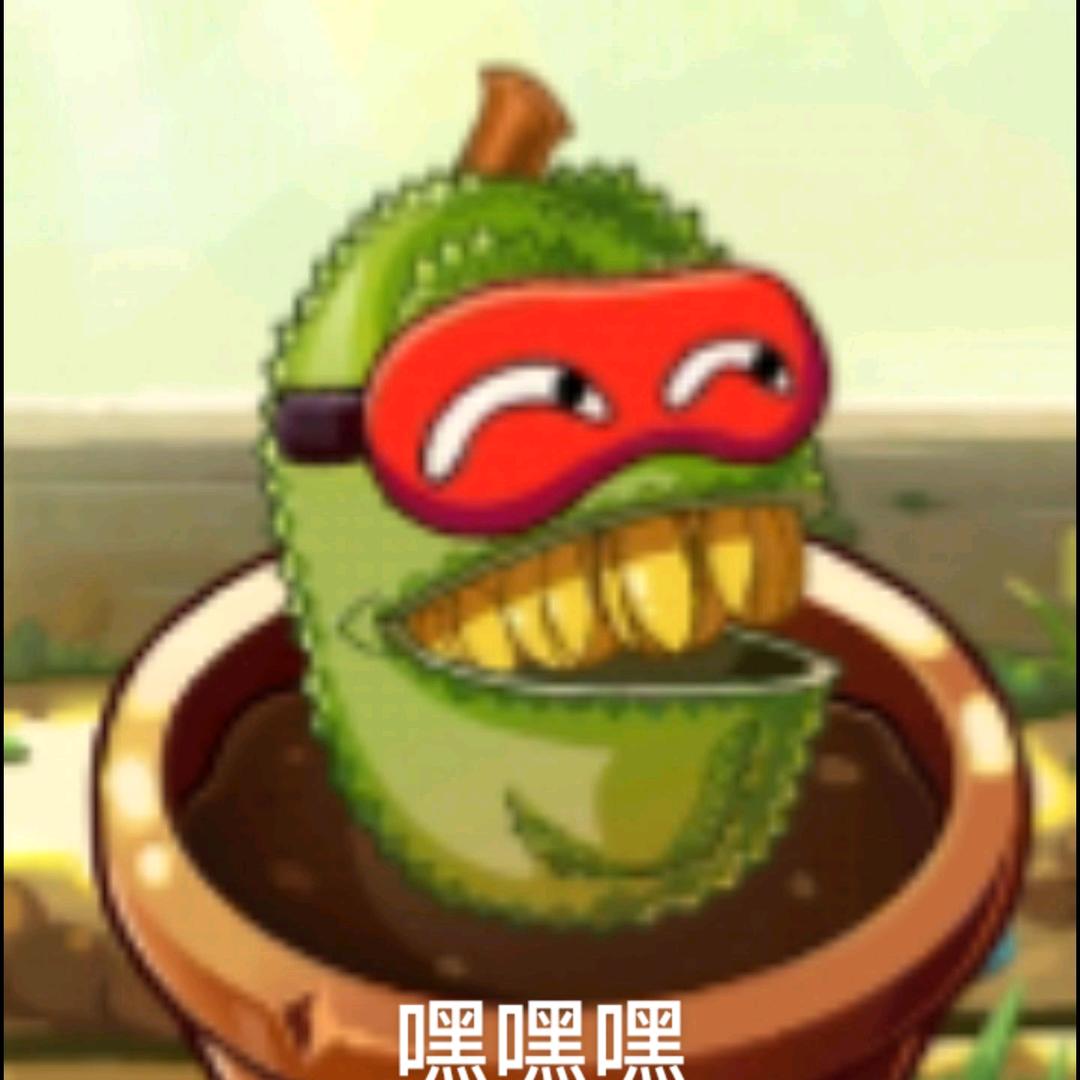 天窗~天幕厂家
