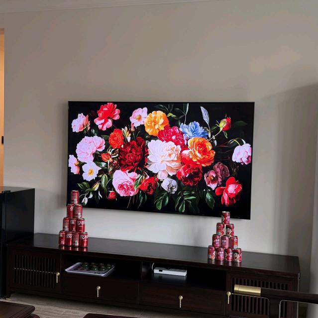 卖电视的小阿姨