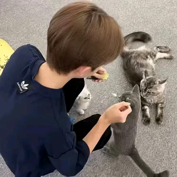 会飞的猫🐱