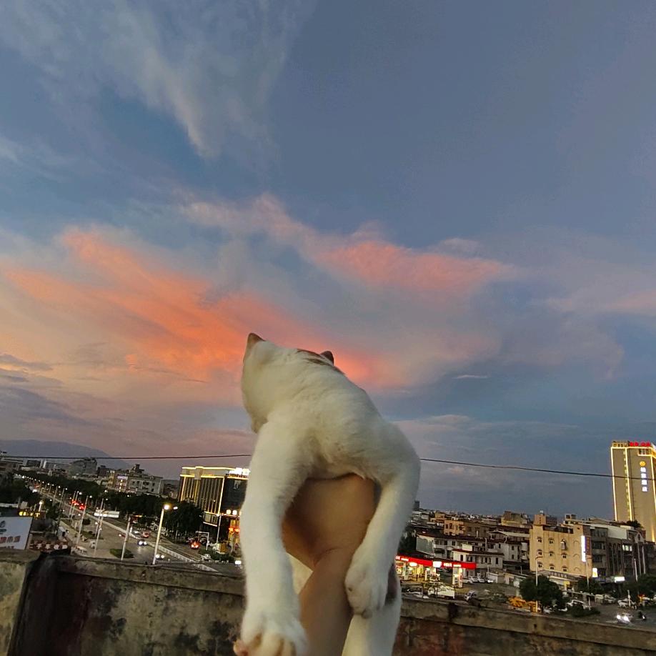 南瓜瓜🍀
