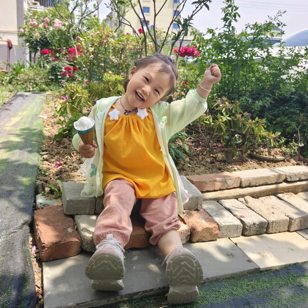 A~木芙蓉