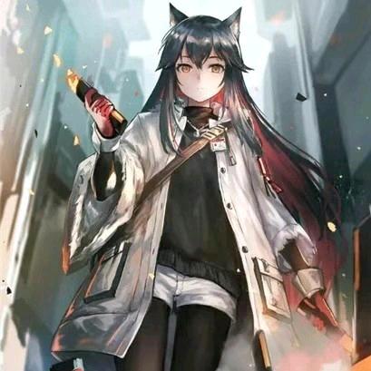 阿尔卑斯犬 米芙