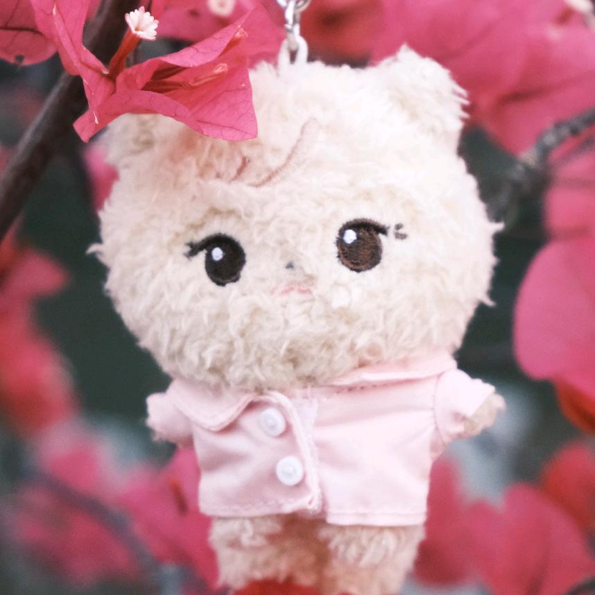 爱恰香菜的CC吖