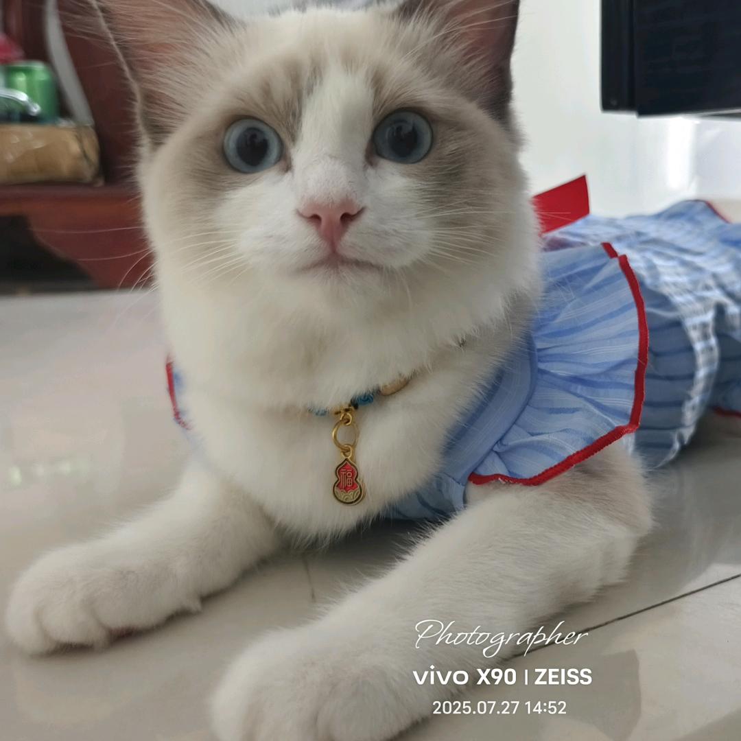 清晨🇨🇳