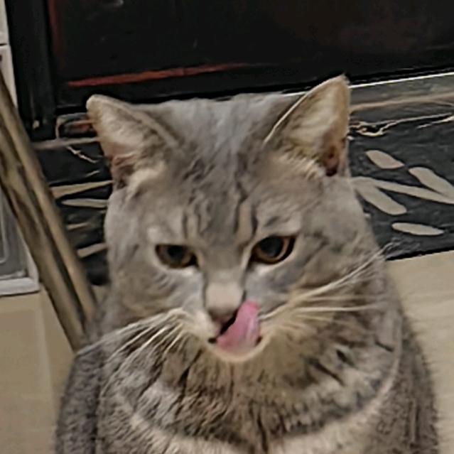 画华