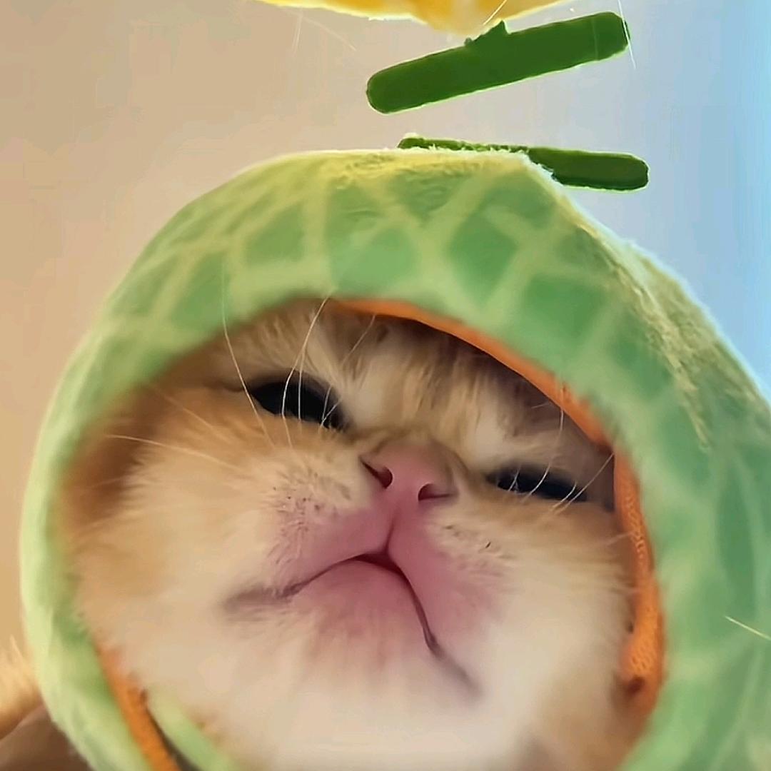 悟心🤡（腹肌努力成熟中）