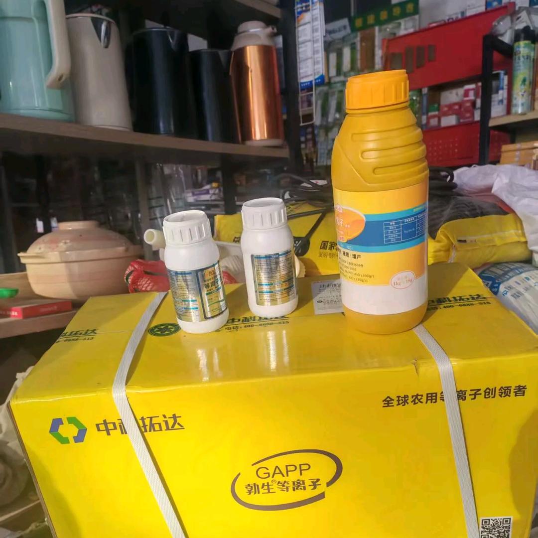 种子农药肥料