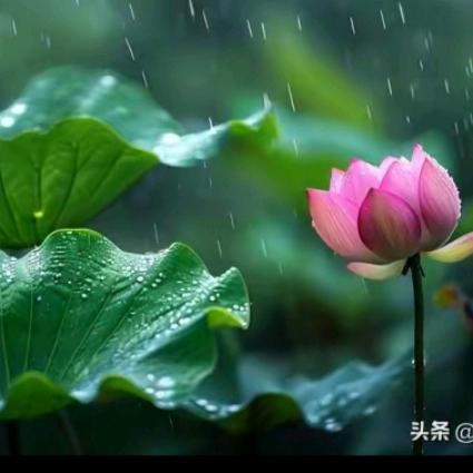 和为贵