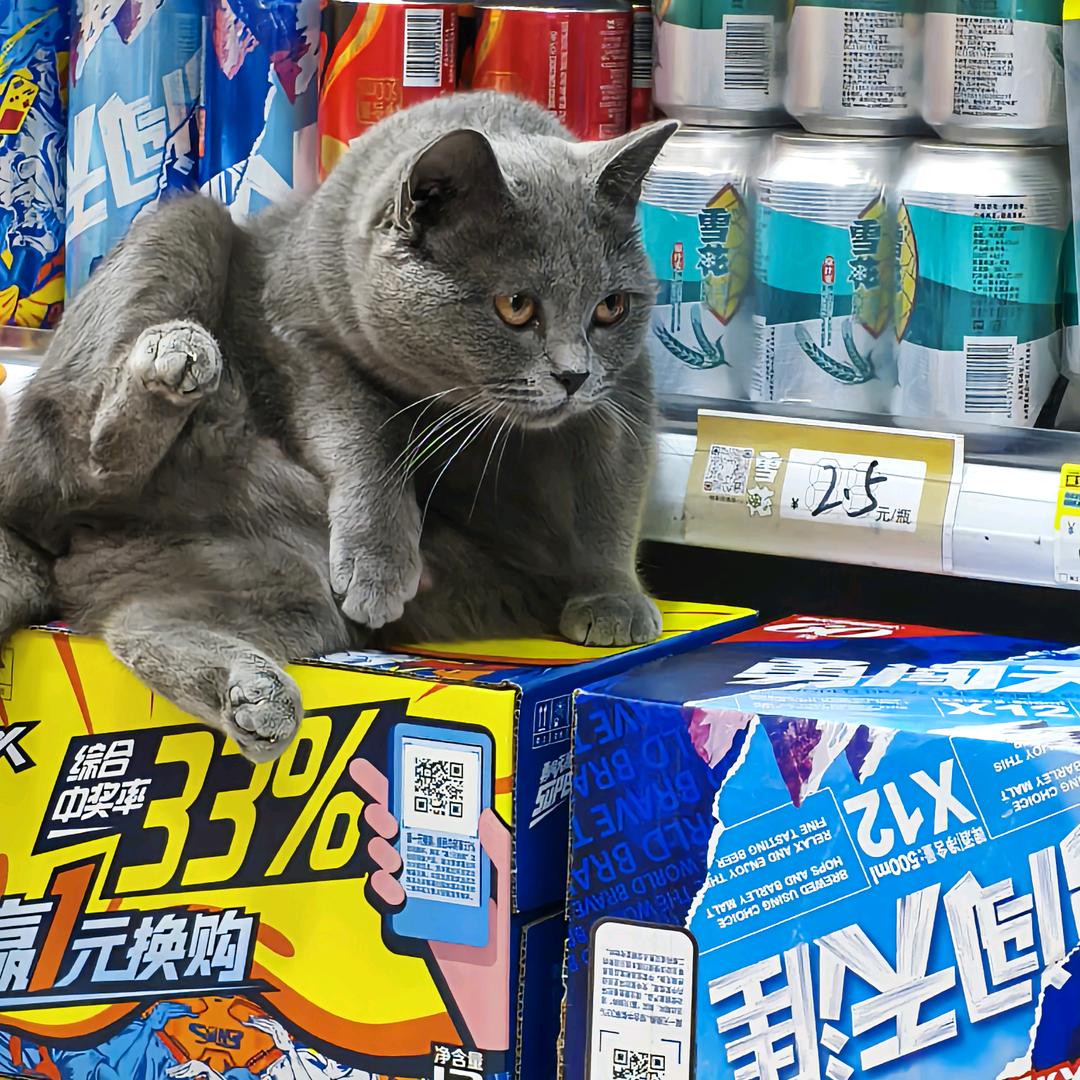萌趣可爱风