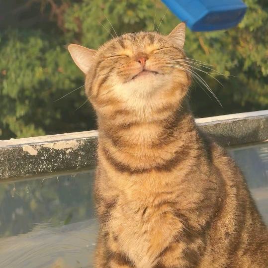 雏菊🐿