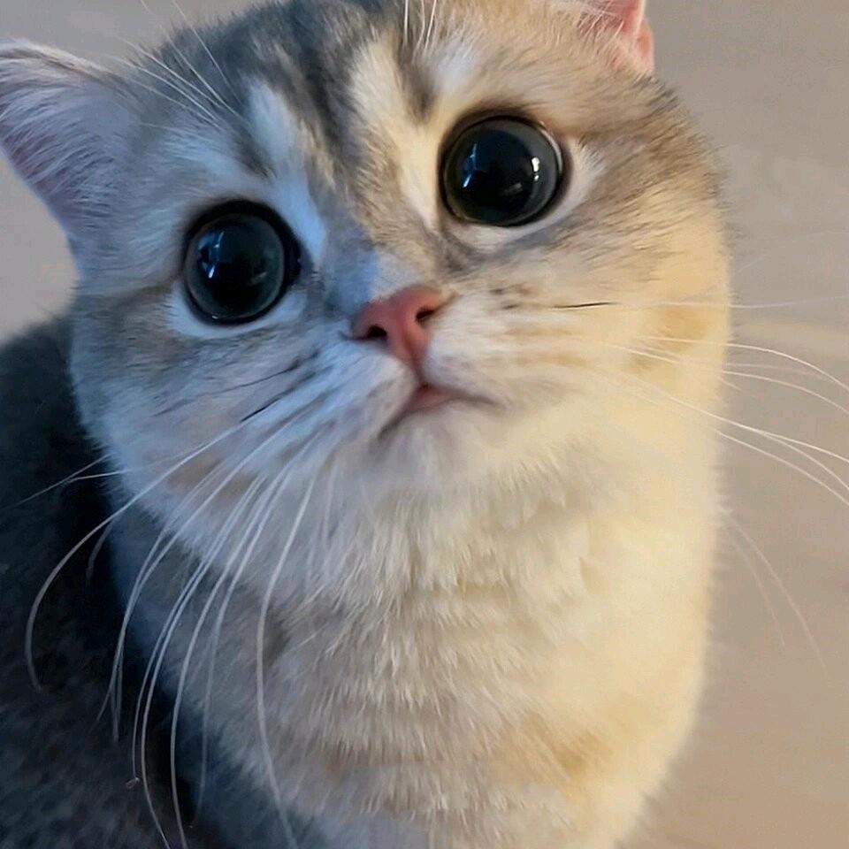 陕西蹲个赞